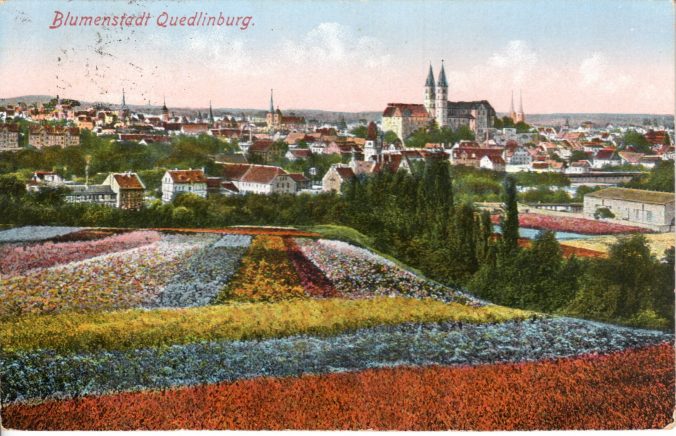 Quedlinburg - die Blumenstadt