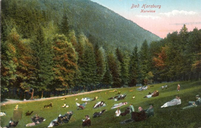 Bad Harzburg - Kurwiese