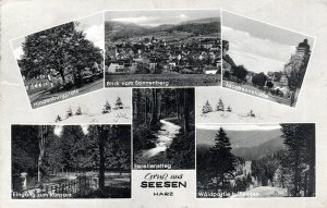 Seesen