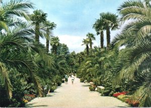 Bad Pyrmont - Kurpark - Palmengarten