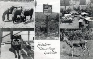 Braunlage - Gaststätte Fuchsfarm