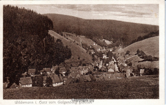 0220A-Wildemann008-Panorama-Ort-1934-Scan-Vorderseite.jpg