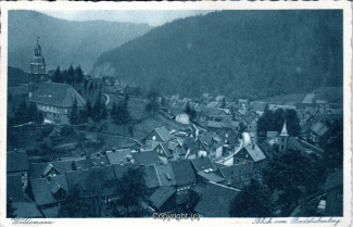 0230A-Wildemann009-Panorama-Ort-1934-Scan-Vorderseite.jpg