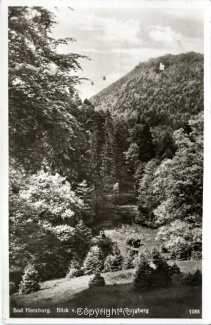 4350A-BadHarzburg147-Sennhuettenblick-1942-Scan-Vorderseite.jpg