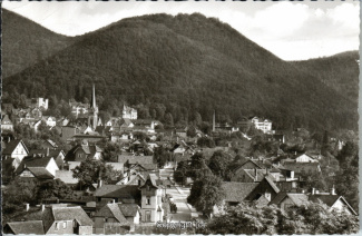 0378A-BadHarzburg149-Panorama-Ort-1961-Scan-Vorderseite.jpg