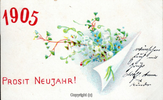 5550A-Grusskarten172-Neujahr-Blumen-1904-Scan-Vorderseite.jpg