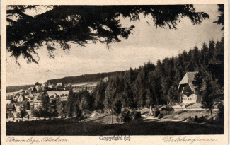 0250A-Braunlage088-Panorama-Ort-Verlobungswiese-1928-Scan-Vorderseite.jpg