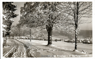0850A-Braunlage086-Panorama-Ort-Winter-1940-Scan-Vorderseite.jpg