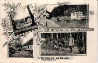 8005A-Springe553-Multibilder-Koellnischfeld-1914-Scan-Vorderseite.jpg
