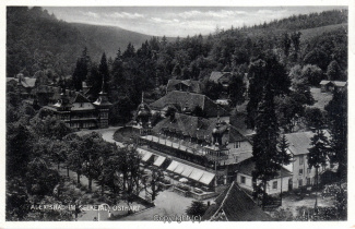 0095A-Alexisbad027-Panorama-Ort-Scan-Vorderseite.jpg