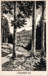 3570A-Wernigerode094-Wald-Schlossblick-Litho-1926-Scan-Vorderseite.jpg