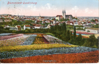 0080A-Quedlinburg037-Panorama-Stadt-Blumen-1929-Ort-Scan-Vorderseite.jpg