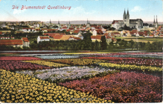 0090A-Quedlinburg038-Panorama-Stadt-Blumen-1942-Scan-Vorderseite.jpg