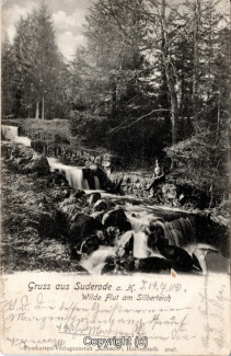 4350A-BadSuderode024-Wilde-Flut-am-Silberteich-1902-Scan-Vorderseite.jpg