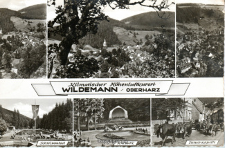 2050A-Wildemann038-Multibilder-Ort-Scan-Vorderseite.jpg