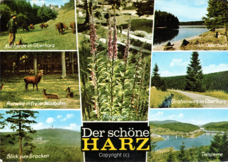 07740A-HarzDiverse065-Multibilder-Westharz-1975-Scan-Vorderseite.jpg