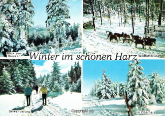 07760A-HarzDiverse063-Multibilder-Winterwald-Scan-Vorderseite.jpg