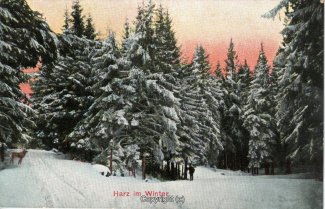 21560A-HarzDiverse012-Winterwald-Scan-Vorderseite.jpg