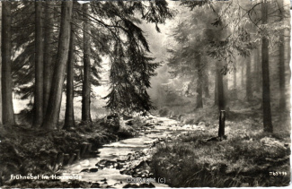 22580A-HarzDiverse092-Landschaft-Bach-1958-Scan-Vorderseite.jpg