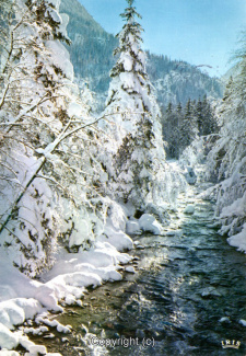 22780A-HarzDiverse096-Landschaft-Bach-Winter-1979-Scan-Vorderseite.jpg