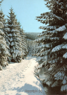 22950A-HarzDiverse098-Landschaft-Wanderweg-Winter-2004-Scan-Vorderseite.jpg