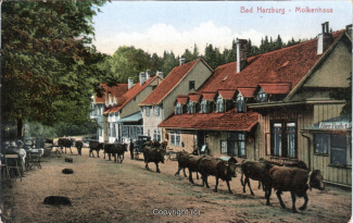 3445A-BadHarzburg265-Molkenhaus-Kuehe-1924-Scan-Vorderseite.jpg