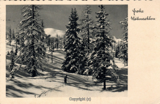 8810A-Grusskarten188-Weihnachten-Landschaft-1936-Scan-Vorderseite.jpg