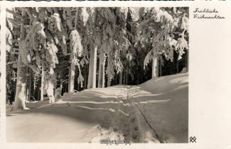 8812A-Grusskarten189-Weihnachten-Landschaft-1935-Scan-Vorderseite.jpg