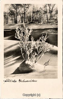 8818A-Grusskarten192-Weihnachten-Landschaft-1933-Scan-Vorderseite.jpg