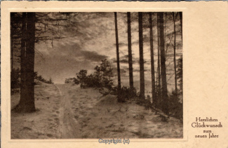 5235A-Grusskarten205-Neujahr-Landschaft-1932-Scan-Vorderseite.jpg