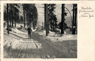 5240A-Grusskarten206-Neujahr-Landschaft-1937-Scan-Vorderseite.jpg