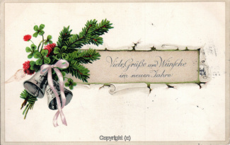 5670A-Grusskarten210-Neujahr-Zweig-1916-Scan-Vorderseite.jpg