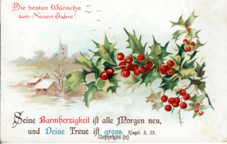 5880A-Grusskarten214-Neujahr-Zweig-Bibelspruch-1911-Scan-Vorderseite.jpg