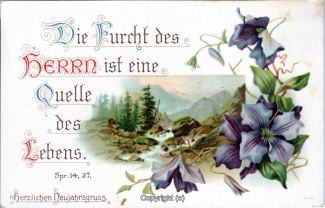 5885A-Grusskarten195-Neujahr-Landschaft-Blumen-1937-Scan-Vorderseite.jpg