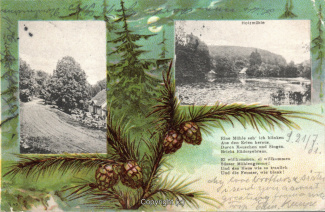 0350A-Holzmuehle139-Multibilder-USA-1901-Scan-Vorderseite.jpg