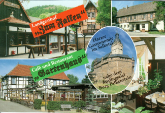 1250A-Selketal010-Gasthaeuser-Gartenhaus-Zum-Falken-Scan-Vorderseite.jpg