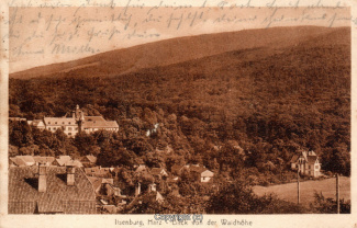 0220A-Ilsenburg058-Panorama-Ort-1920-Scan-Vorderseite.jpg