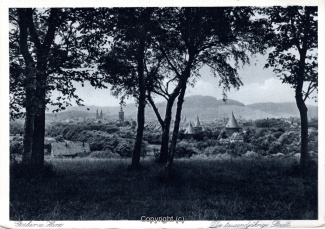 00335A-Goslar229-Panorama-Ort-Scan-Vorderseite.jpg