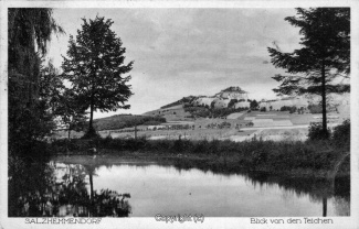 0860A-Salzhemmendorf293-Panorama-1926-Scan-Vorderseite.jpg