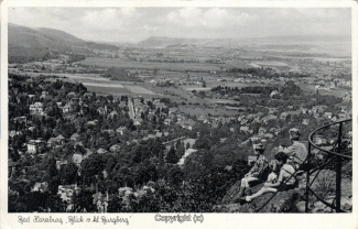 11750A-BadHarzburg035-Panorama-Ort-Burgbergblick-1955-Scan-Vorderseite.jpg