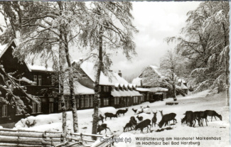 19560A-BadHarzburg158-Molkenhaus-Winter-Wildfuetterung-Scan-Vorderseite.jpg