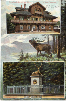 3100A-Treseburg017-Multibilder-Dambachshaus-Hirschdenkmal-1915-Scan-Vorderseite.jpg
