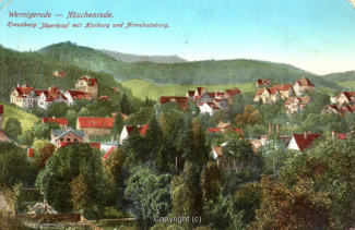 1257A-Wernigerode187-Panorama-Ort-1915-Scan-Vorderseite.jpg