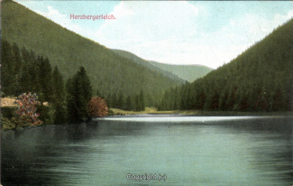 08515A-Goslar313-Herzberger-Teich-1910-Scan-Vorderseite.jpg