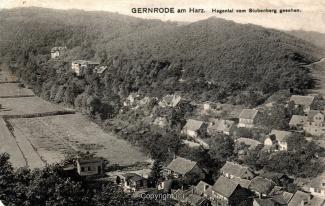 0115A-Gernrode052-Panorama-Ort-Hagental-Scan-Vorderseite.jpg