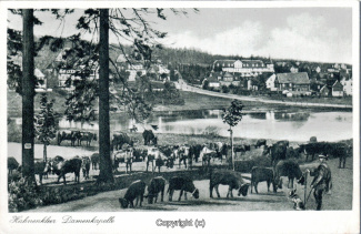 05060A-Hahnenklee153-Panorama-Ort-Kuehe-Scan-Vorderseite.jpg