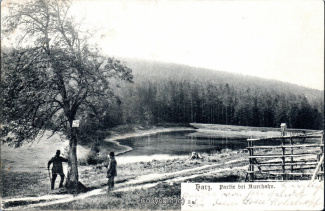 19530A-Hahnenklee143-Auerhahn-Teich-1904-Scan-Vorderseite.jpg