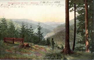 25050A-Hahnenklee189-Granetal-1908-Scan-Vorderseite.jpg