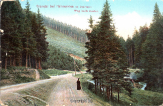 25070A-Hahnenklee146-Granetal-Weg-nach-Goslar-1919-Scan-Vorderseite.jpg