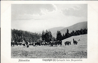 25650A-Hahnenklee017-Kuhherde-Kurkapelle-Scan-Vorderseite.jpg